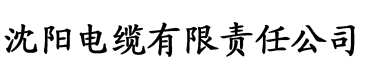 欧美视频无砖专区一中文字目电缆厂logo